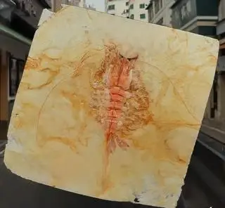 Hình ảnh Bánh Nướng Tôm Nhật Bản (Japanese Shrimp Cake)