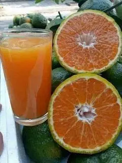 Hình ảnh Sinh tố cam