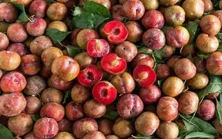 Hình ảnh Mận Hà Nội 400g
