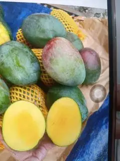 Hình ảnh 1kg xoài bom xanh lòng vàng 