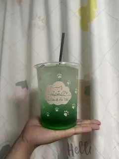 Hình ảnh Soda bạc hà