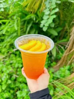 Hình ảnh Trà Đào