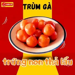Hình ảnh trứng non thả lẩu