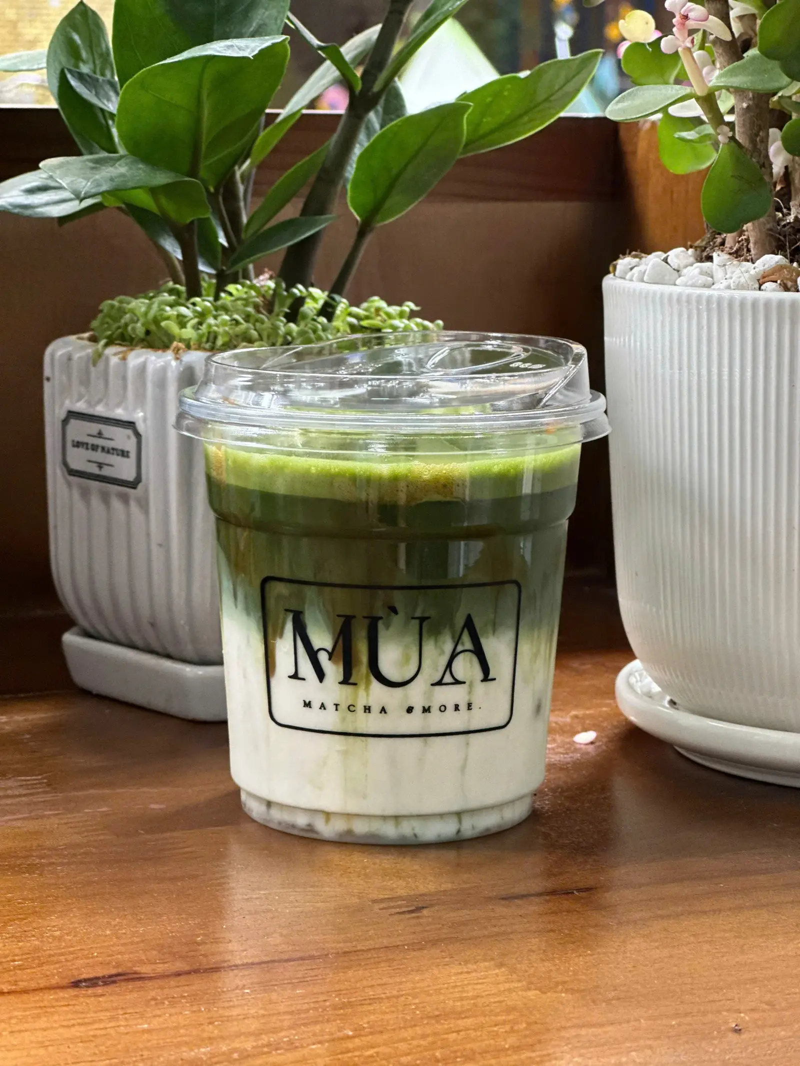 Hình ảnh Matcha Caramel Fuji No Haru