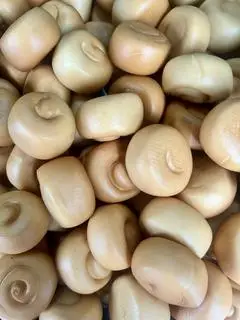 Hình ảnh 01 Cái Bánh bao