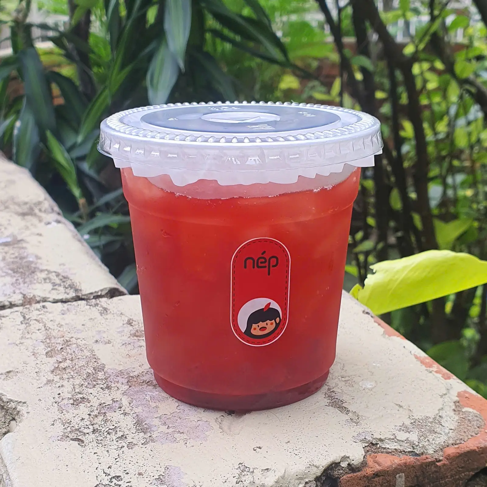 Hình ảnh Trà Olong Cherry Đào