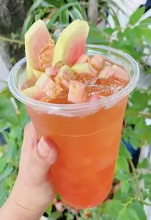 Hình ảnh Trà Ổi Hồng 700ml
