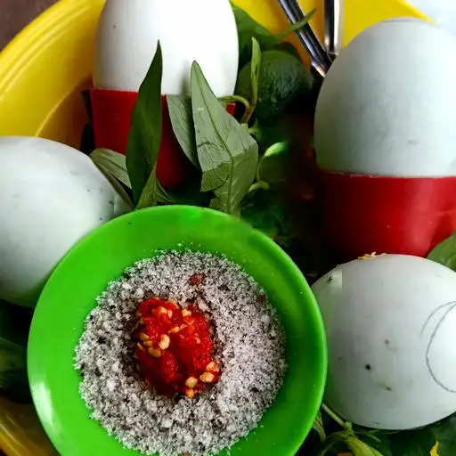 Hình ảnh Vịt Dữa