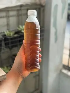 Hình ảnh Atiso