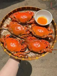 Hình ảnh Bánh canh cua nguyên con lớn