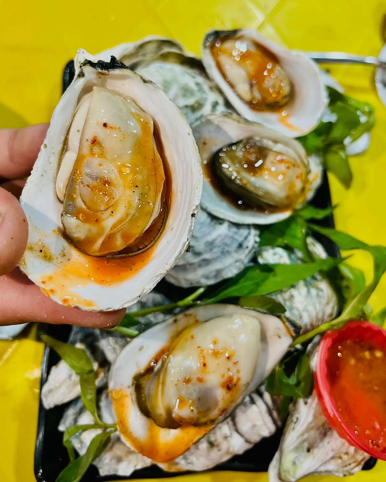 Hình ảnh Hàu Sữa Hấp 15~22Con/Kg