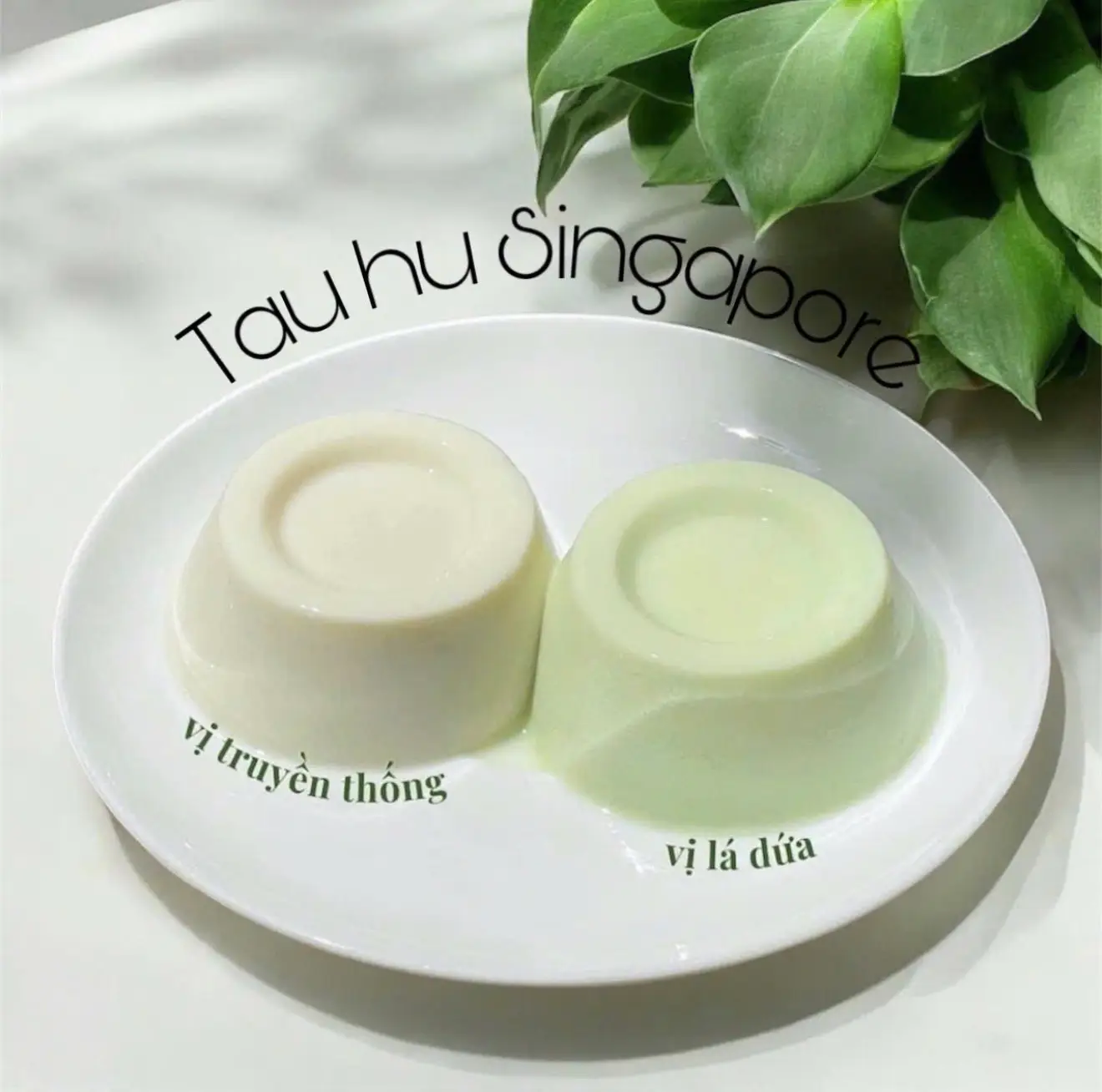 Hình ảnh Set 2 Beancurd Original/2 Tàu Hũ Nguyên Bản