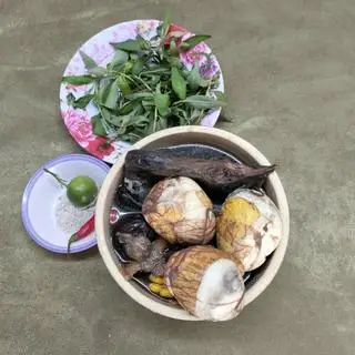 Hình ảnh gà ác tiềm+3 Trứng vịt lộn 