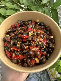 Hình ảnh ốc gạo Huế