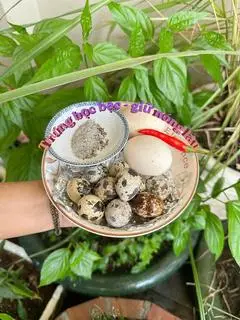 Hình ảnh Trứng Bọc Bạc To (luộc)