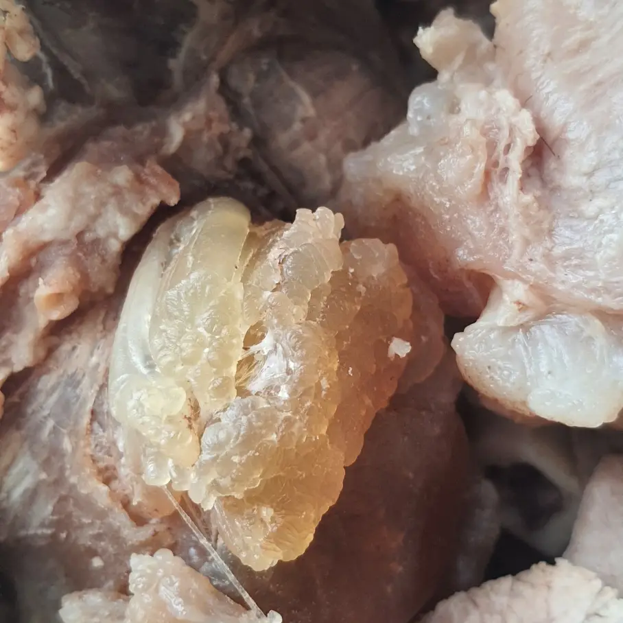 Hình ảnh BÚN BÒ NẠM GÂN