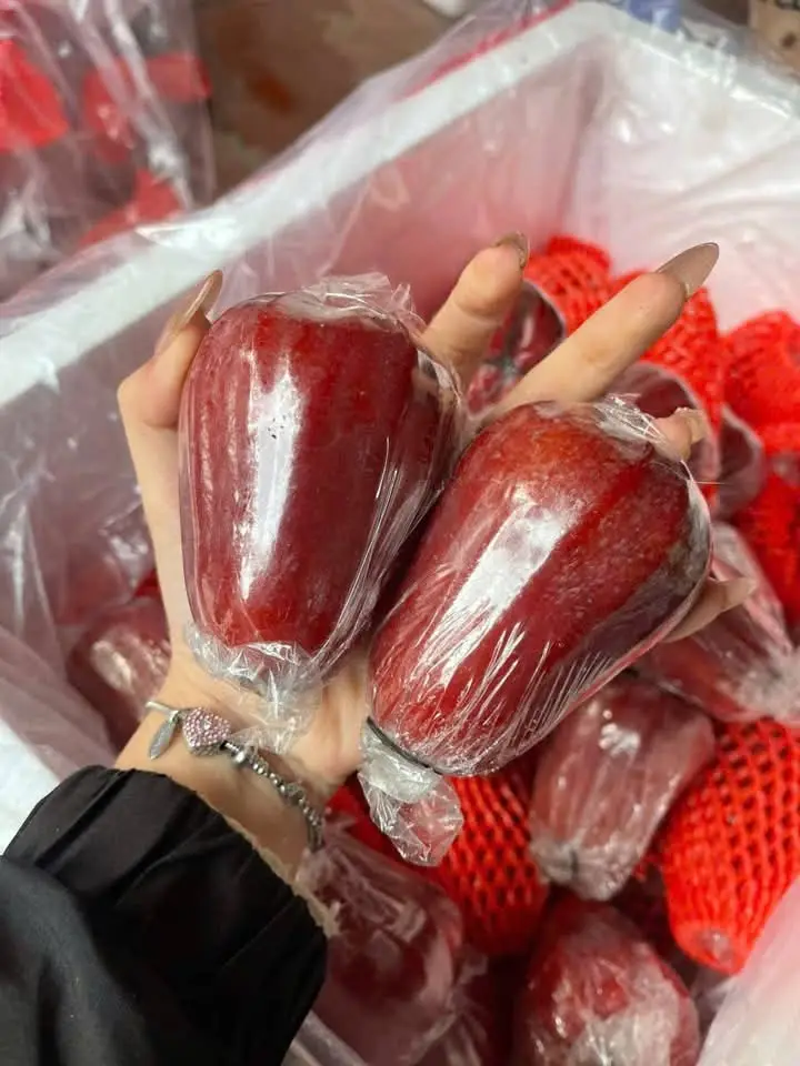 Hình ảnh Roi An Phước