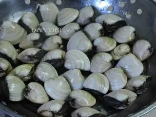 Hình ảnh ngao thêm 