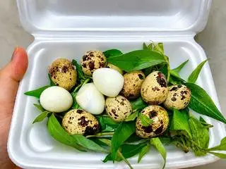 Hình ảnh Trứng cút luộc chấm muối tiêu tắc (1 phần 5 quả)