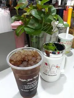 Hình ảnh Sâm rong biển - trân châu
