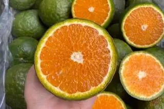 Hình ảnh nước ép cam