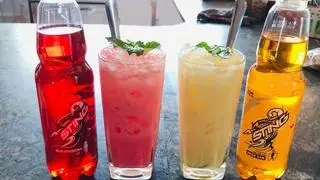 Hình ảnh sting sữa đá
