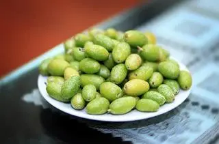 Hình ảnh Nhót xanh 
