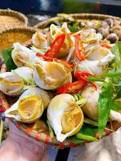 Hình ảnh Ốc Bulot Hấp Sả