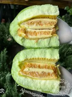 Hình ảnh Dưa Gang Dầm Sữa