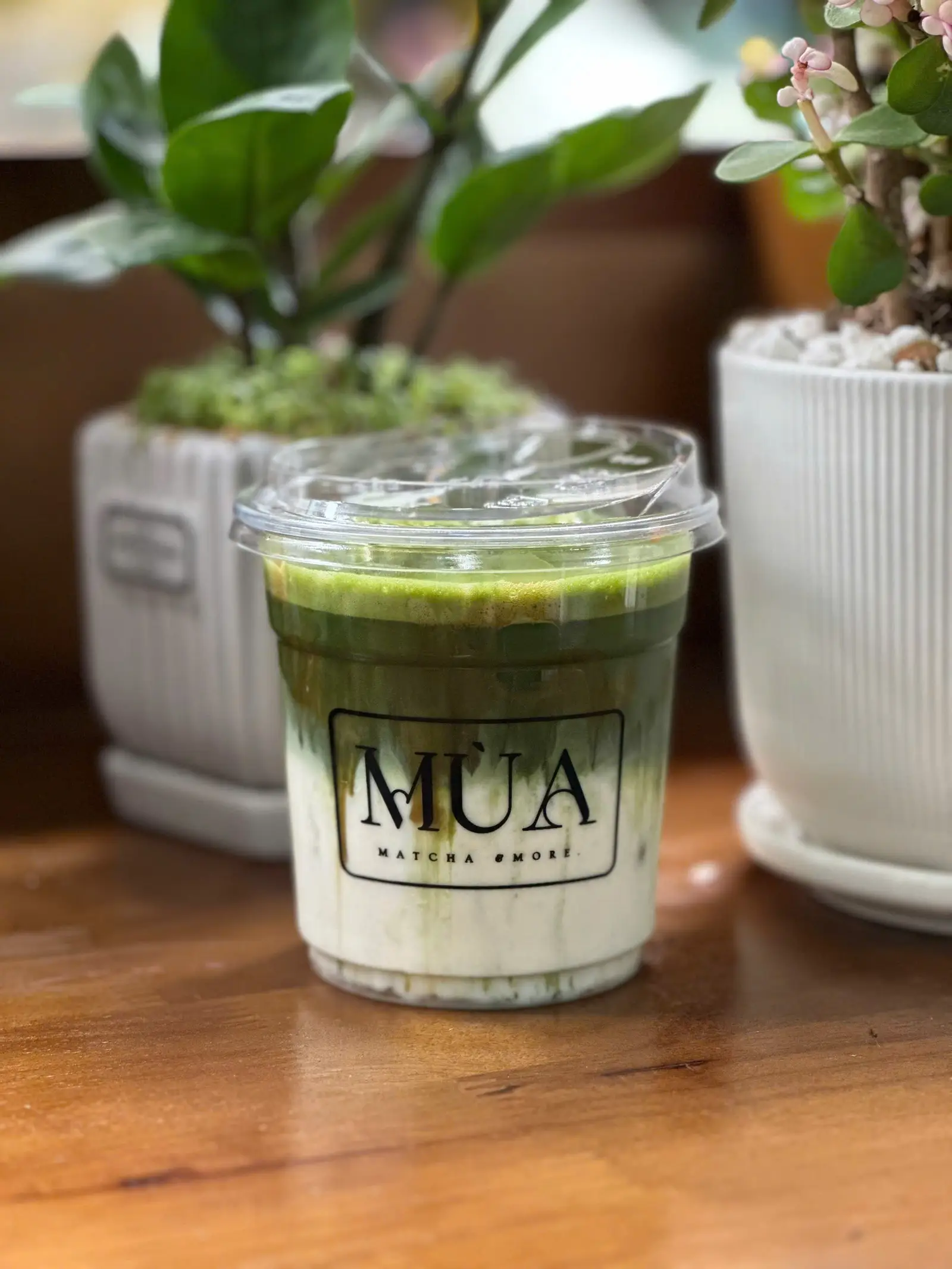 Hình ảnh Matcha Caramel MK4