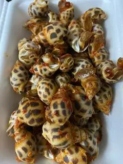 Hình ảnh ốc hương rang muối