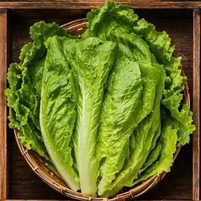 Hình ảnh Cải bẹ xanh