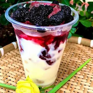 Hình ảnh Sữa Chua Đá Dâu Tằm 