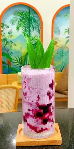 Hình ảnh sữa chua việt quất 
