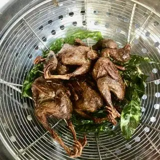 Hình ảnh Combo 10 bé tặng 1 Cút Bé