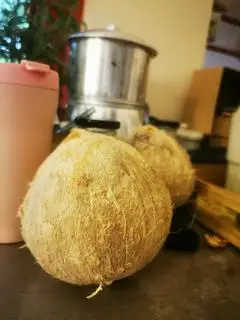 Hình ảnh Trái Dừa