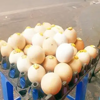 Hình ảnh trứng gà nướng 