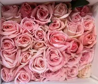 Hình ảnh Khiếu nại shop - không chín không sáu sáu một chín một chín năm