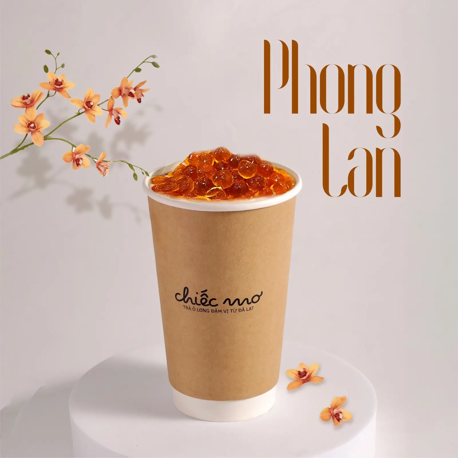 Hình ảnh Phong Lan (Kèm Trân Châu Trắng)