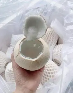 Hình ảnh Dừa Xiêm Trọc- size 690- 750gr