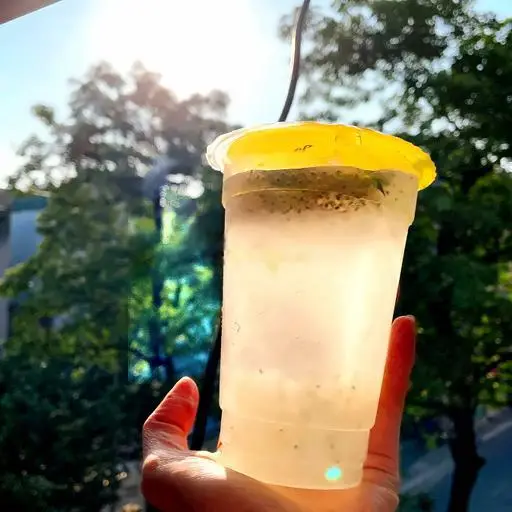 Hình ảnh Nước Dừa Nha Đam + Hạt Chia (Dừa Xiêm Sọ )