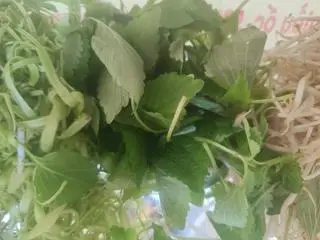 Hình ảnh Rau Thêm 