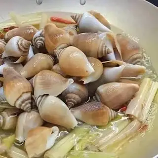 Hình ảnh Ốc nhảy cái