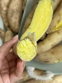 Hình ảnh Khoai lang sữa Thái Lan luộc