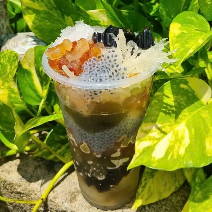 Hình ảnh Sương sâm sương sáo thập cẩm