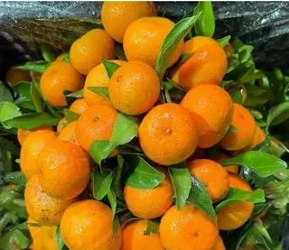 Hình ảnh Quả quýt thái nhỏ 500g