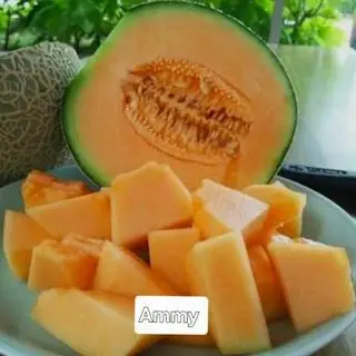 Hình ảnh Dưa lưới 500g 