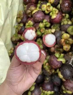 Hình ảnh măn cụt