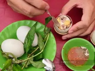 Hình ảnh Hột vịt lộn