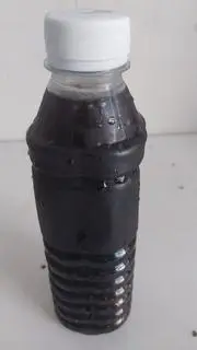 Hình ảnh Sương sáo hạt chia